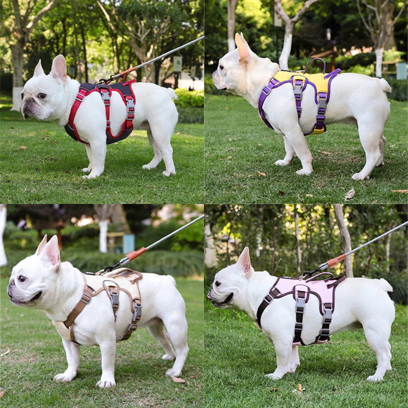 Adjustable Dog Harness for Small Large Dogs