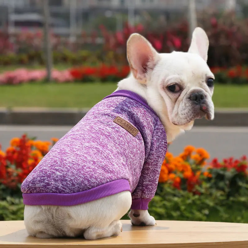 Dog Warm Sweatshirt Spring Autumn Winter