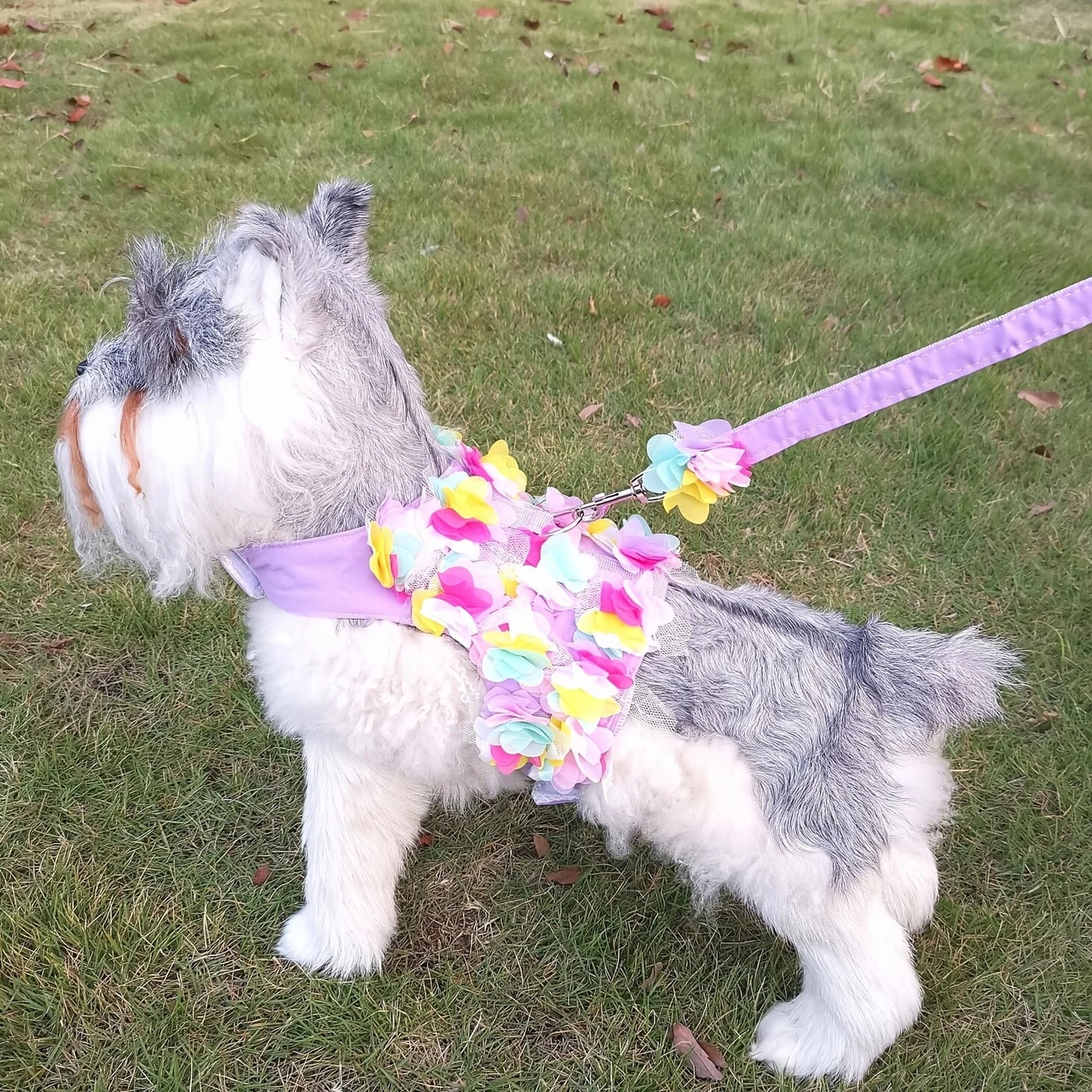 Pets Harness Leash Flower Decoration