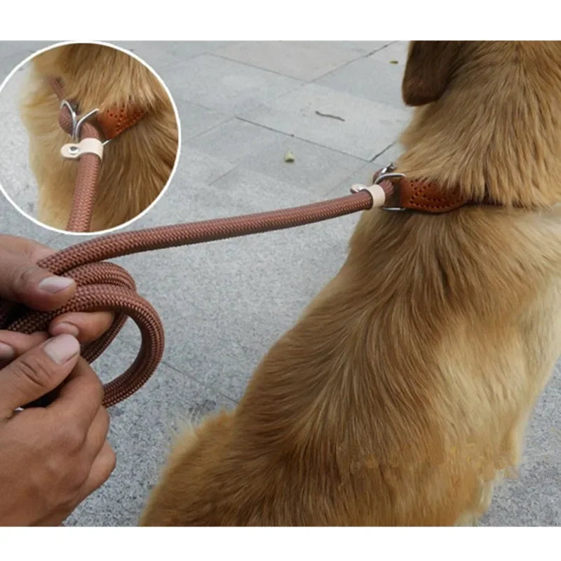 Dog Walking Leash Slip Rope