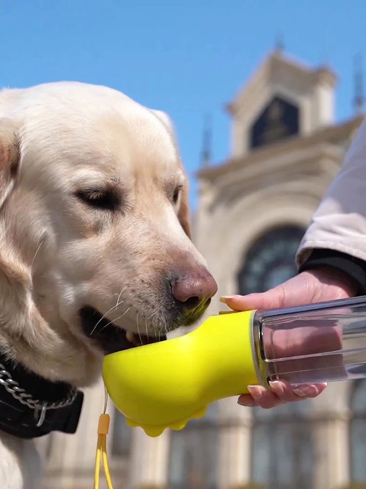 Dog Water Bottle Outdoor Portable