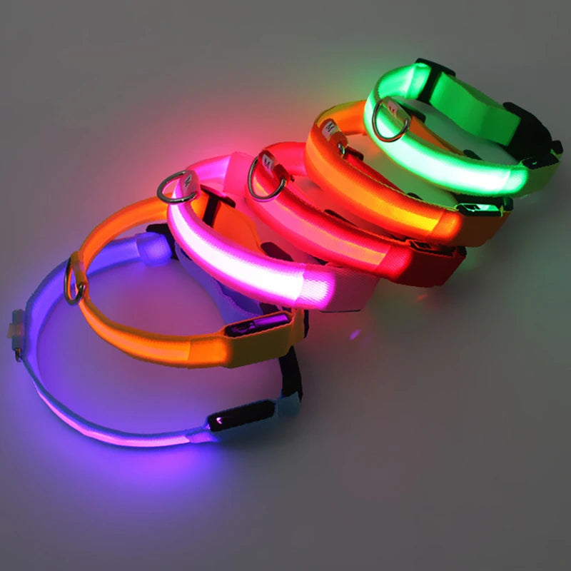 3 Modes Dog Luminous Charge Collar