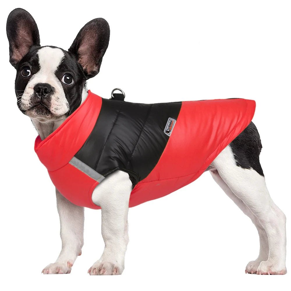 Waterproof Dog Jacket Winter