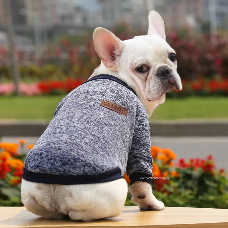 Dog Warm Sweatshirt Spring Autumn Winter