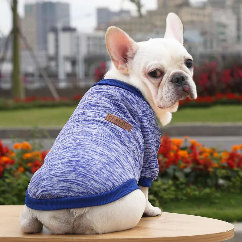 Dog Warm Sweatshirt Spring Autumn Winter