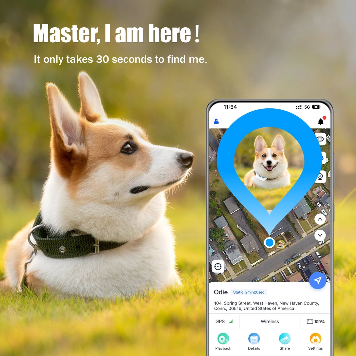 Global Pet Tracker 30 Seconds Positioning Waterproof with APP for Tracking Dogs and Cats Low Service Fee