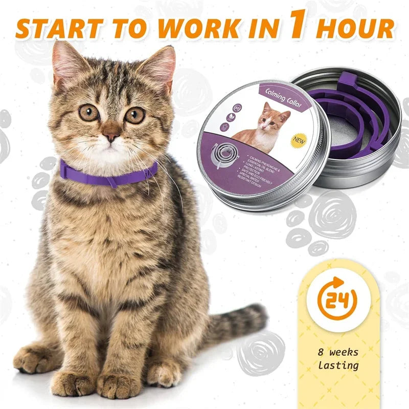 Dog Calming Pheromone Collar cat Relieve Anxiety