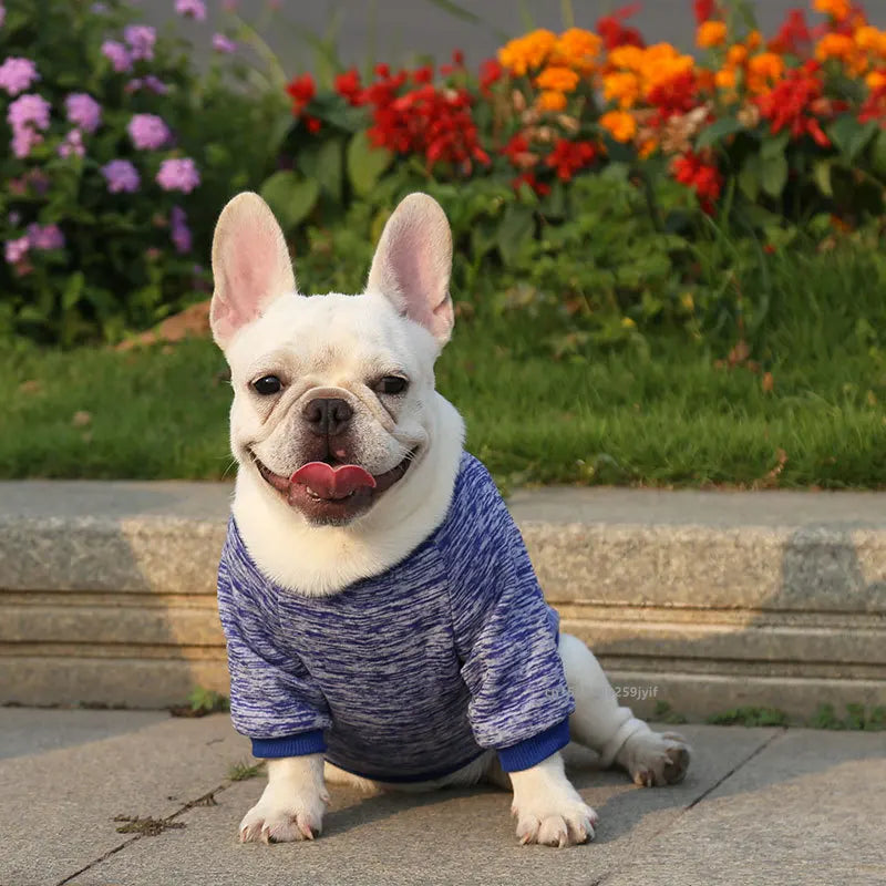 Dog Warm Sweatshirt Spring Autumn Winter