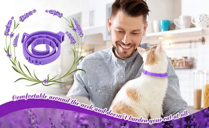 Dog Calming Pheromone Collar cat Relieve Anxiety