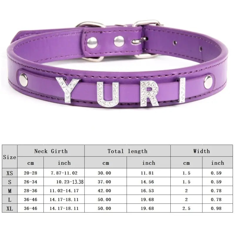 Custom Cat Dog Collar Personalized