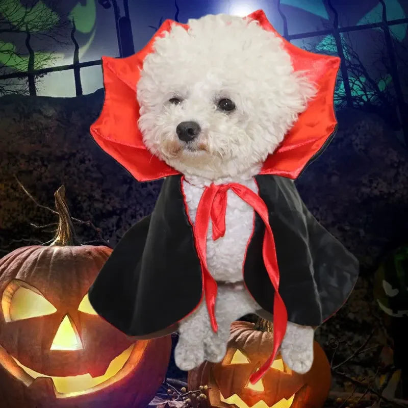 New Funny Pet Dog Halloween Costume