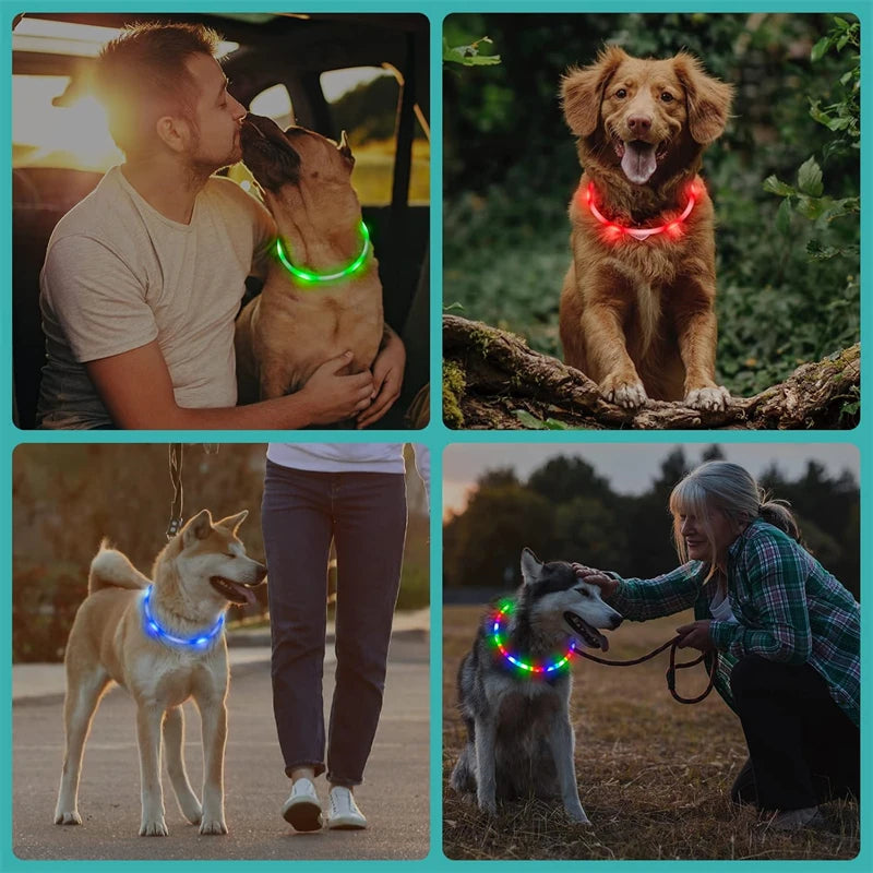 4 Modes Dog Luminou Charge Collar Led Usb