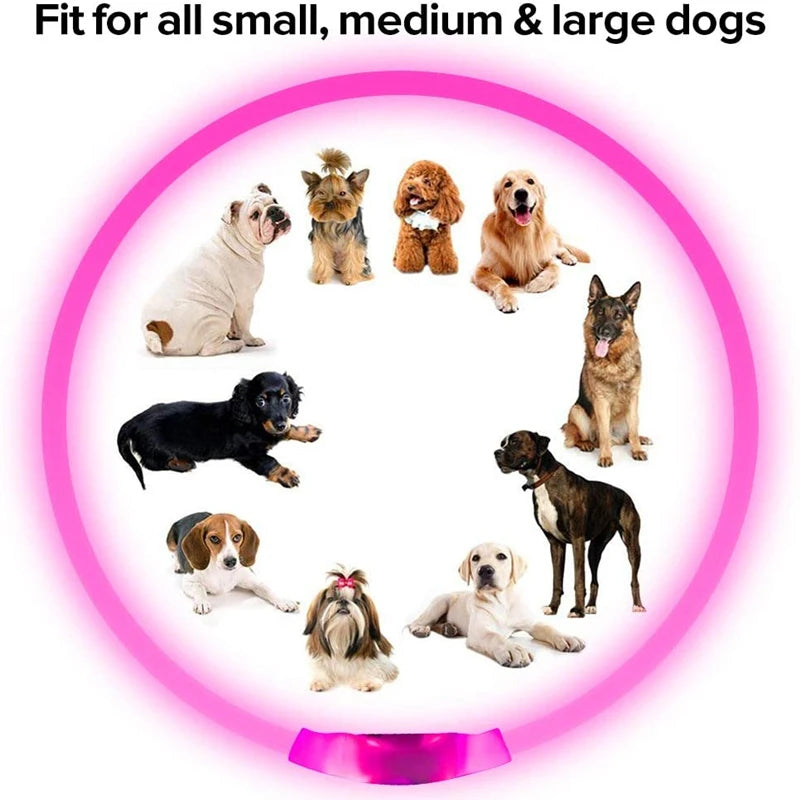 3 Modes Dog Luminous Charge Collar Led Usb