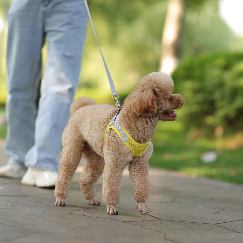 Dog Harness Leash Set for Small Dogs