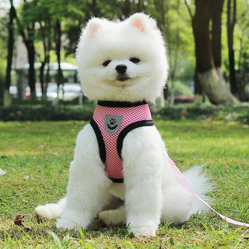 Reflective Breathable Mesh Dog Harness