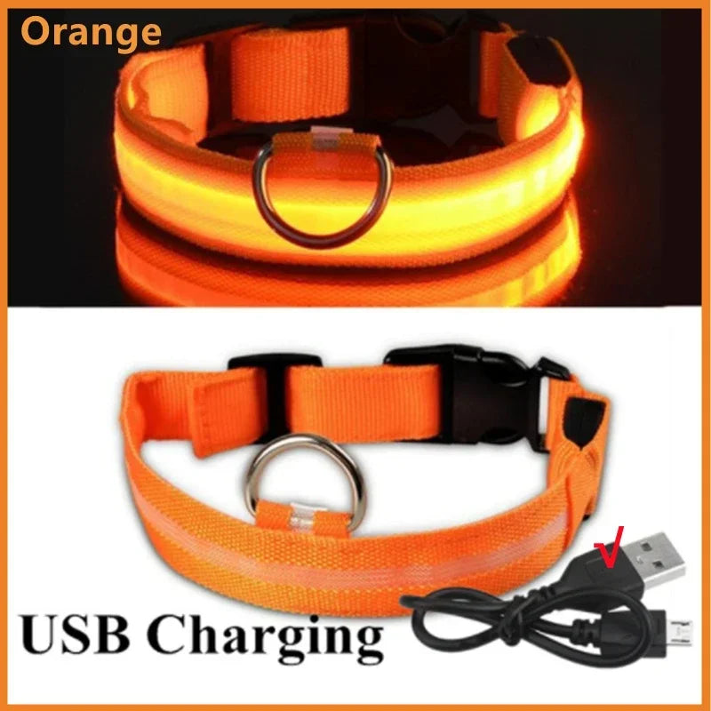 3 Modes Dog Luminous Charge Collar Led Usb