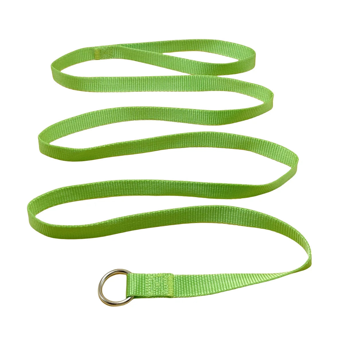 Durable Dog Nylon Slip Rope Leash,