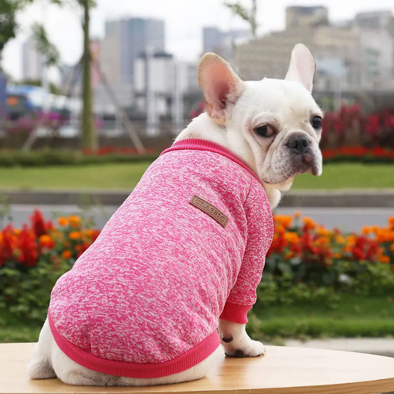 Dog Warm Sweatshirt Spring Autumn Winter