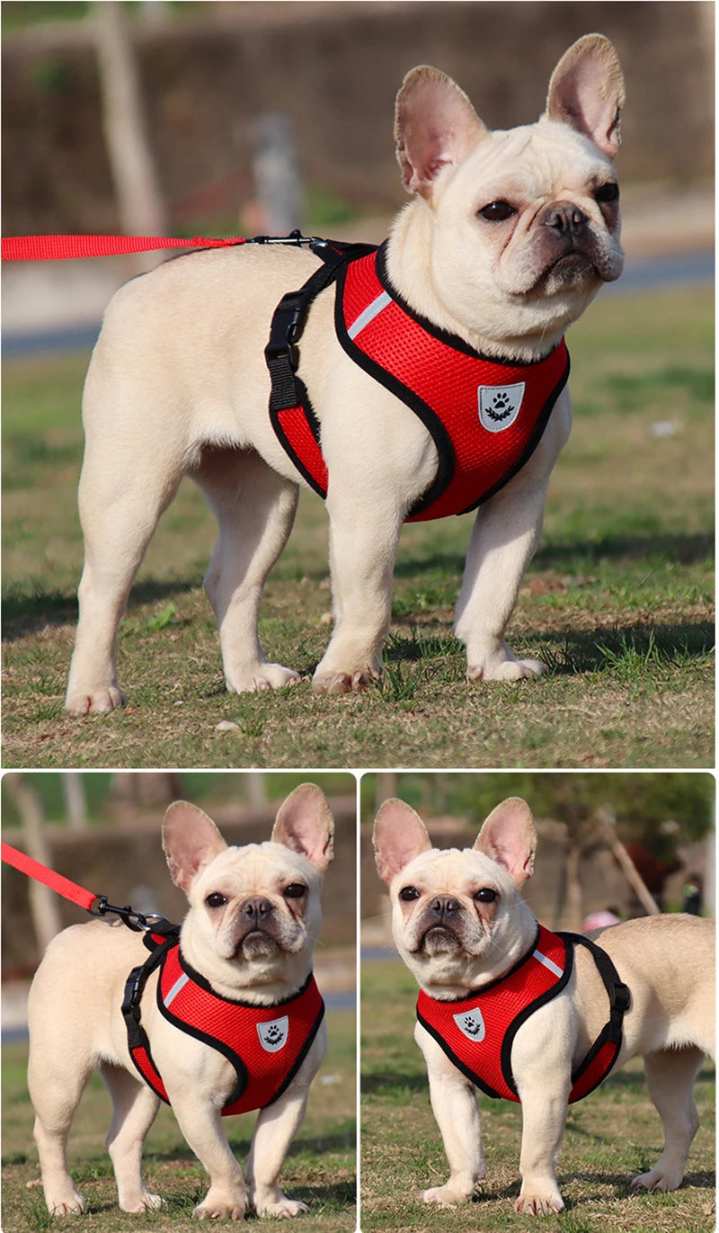 Reflective Breathable Mesh Dog Harness