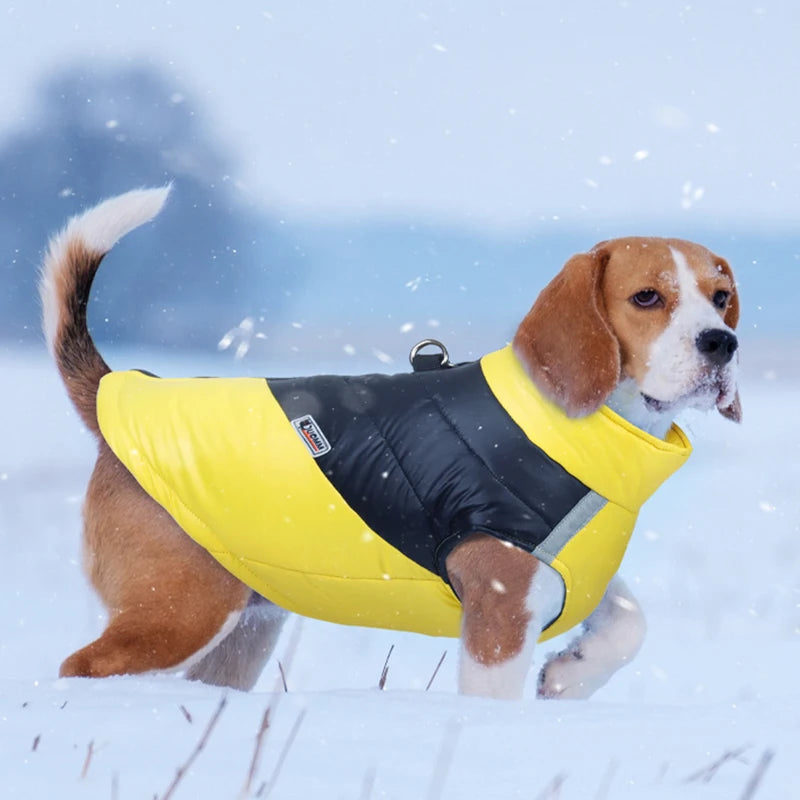 Waterproof Dog Jacket Winter