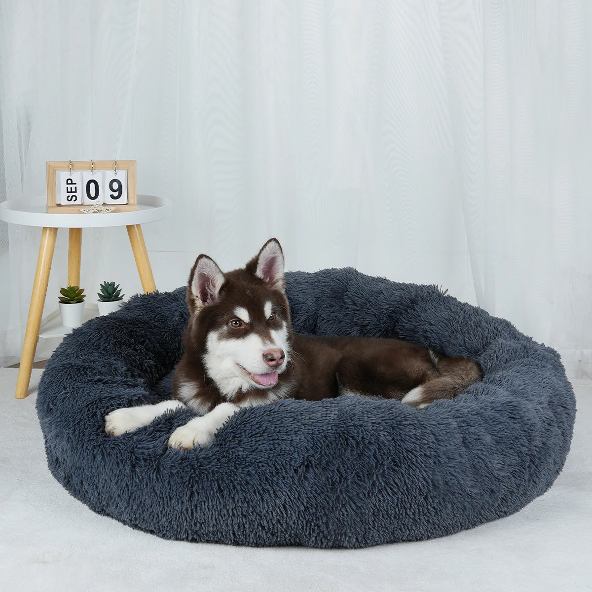 Big Large Round Basket Plush