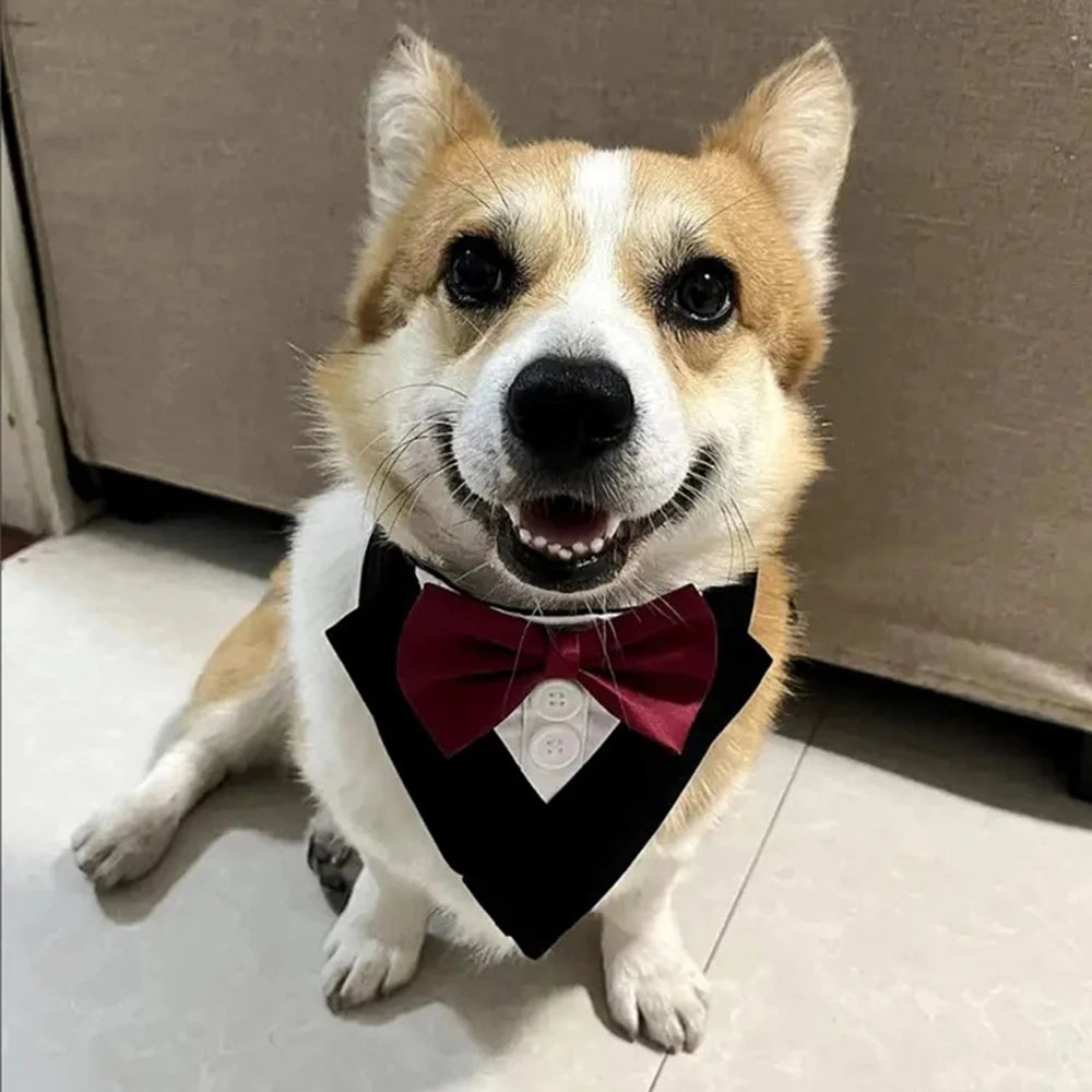 Handsome Dog Bow Tie Wedding Party