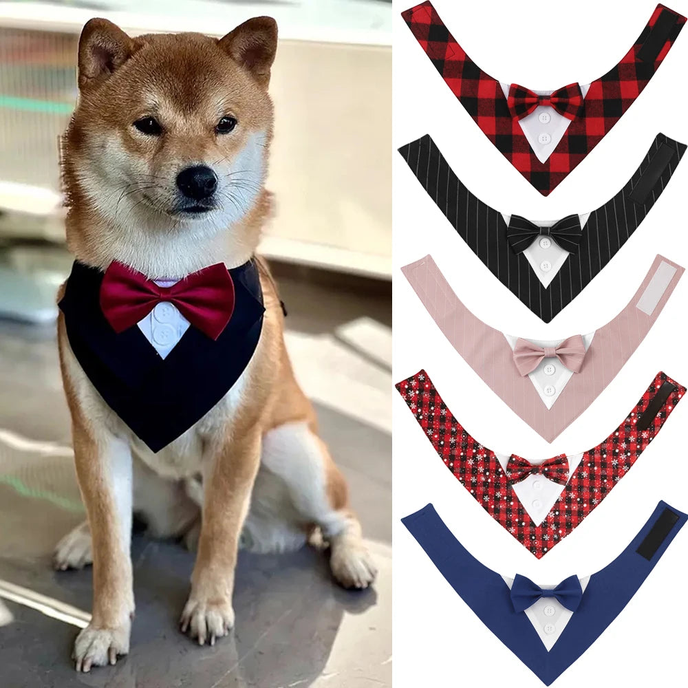 Handsome Dog Bow Tie Wedding Party