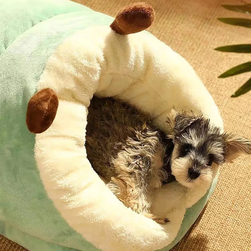 Dog Beds Shoes