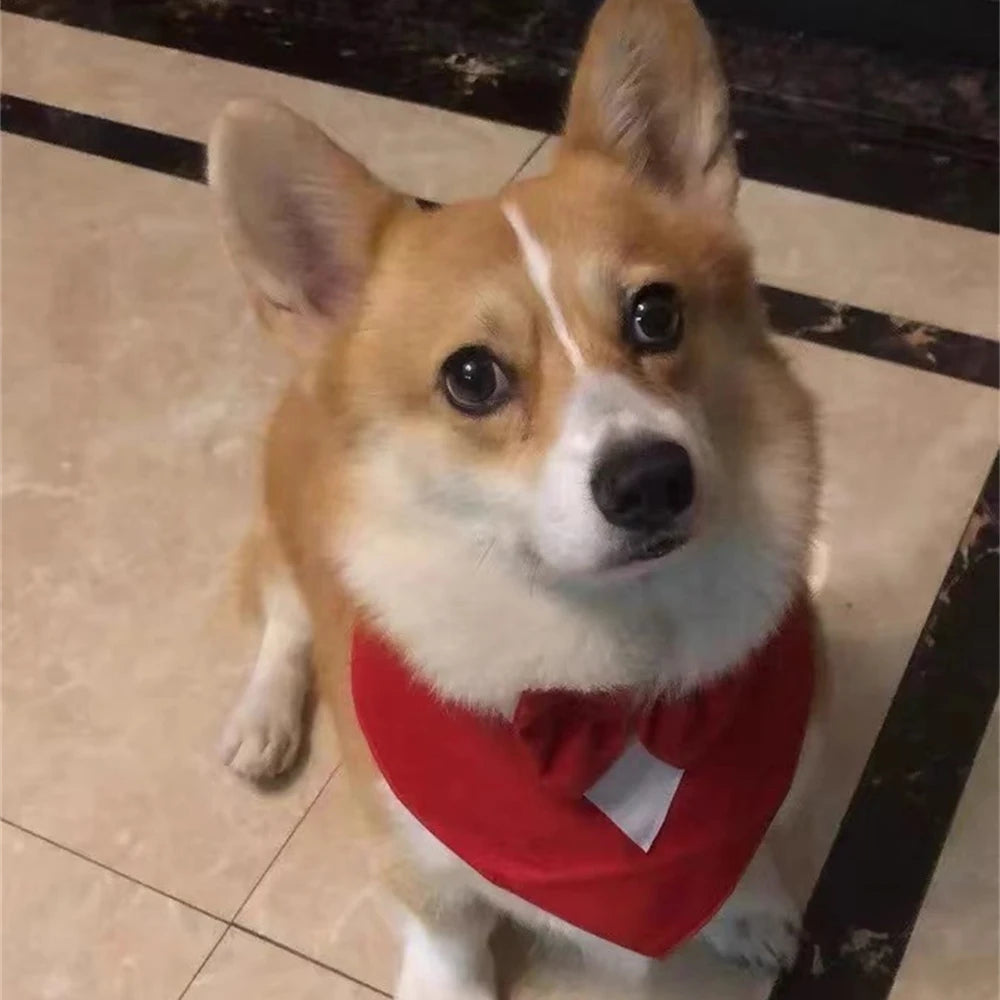 Handsome Dog Bow Tie Wedding Party