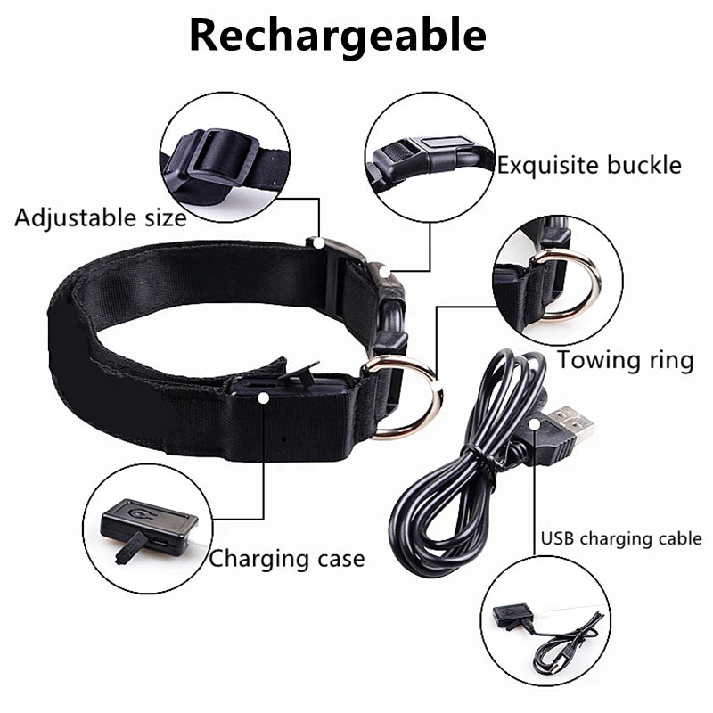 3 Modes Dog Luminous Charge Collar