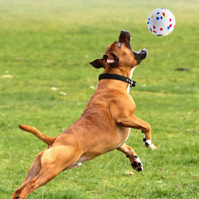 Bite Resistant Solid Dog Ball