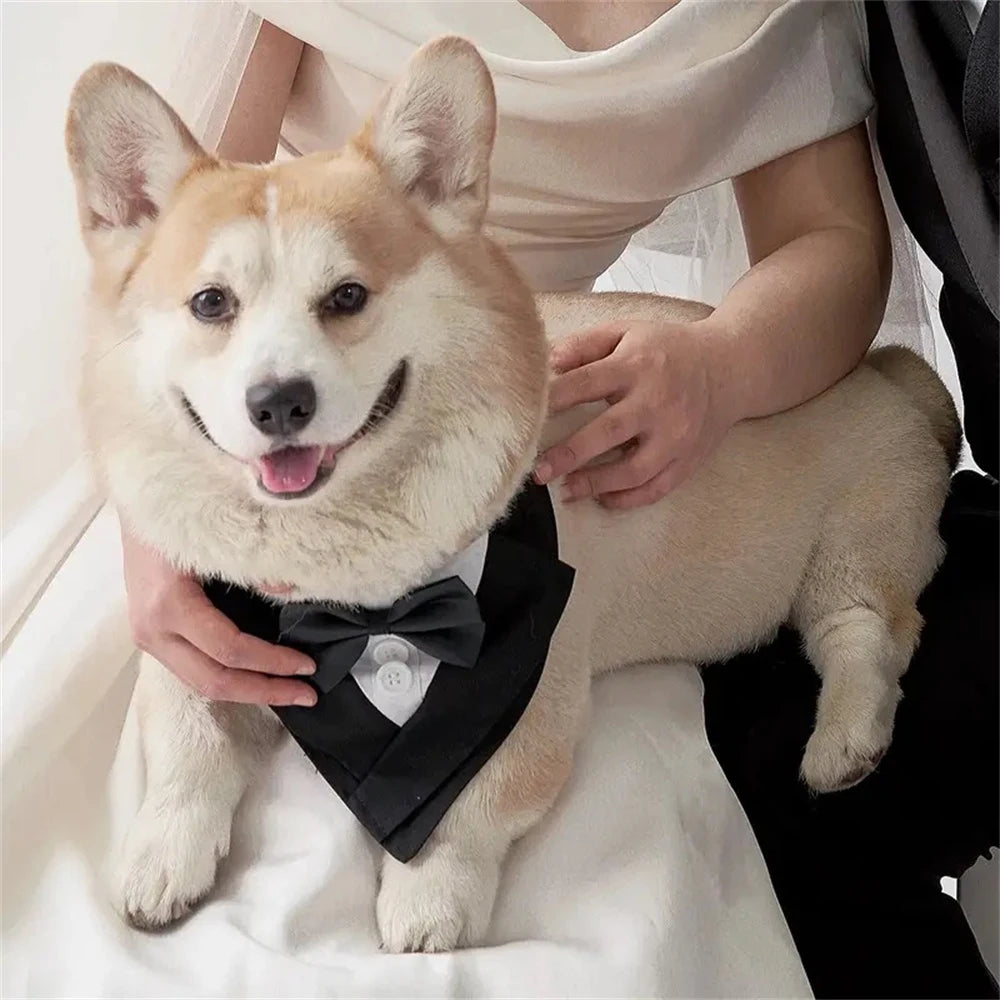 Handsome Dog Bow Tie Wedding Party