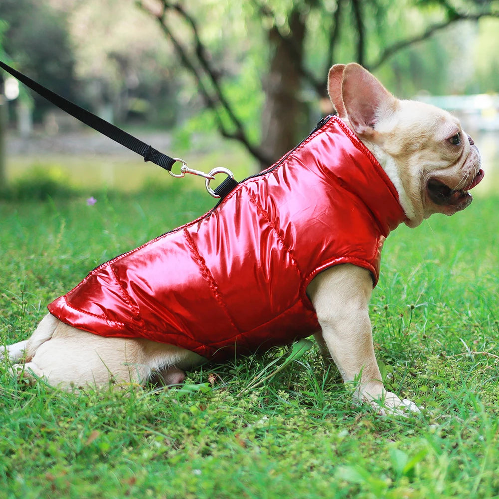 Dog Jacket For Small Medium Dogs Cats Windproof Waterproof