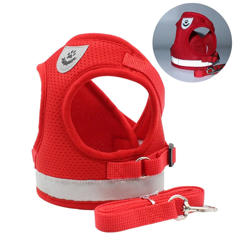 Quality Dog Harness And Leash