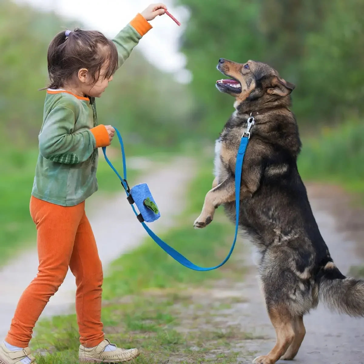 Pet Dog Poop Bag Dispenser Storage