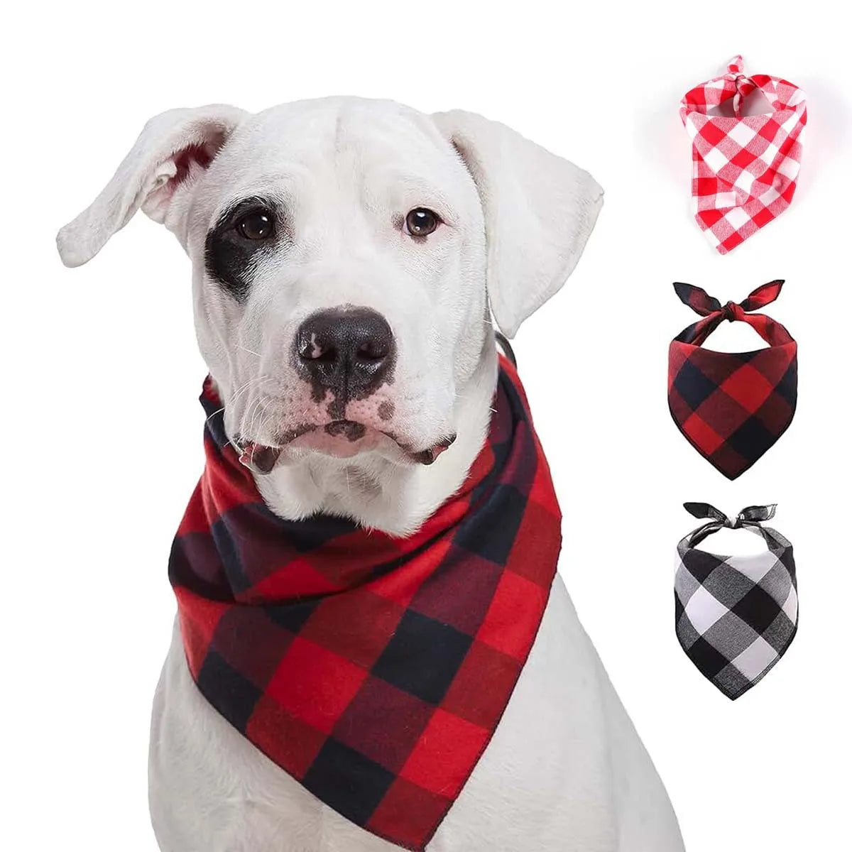 Classic Red Black Plaid Pet Dog Bandana