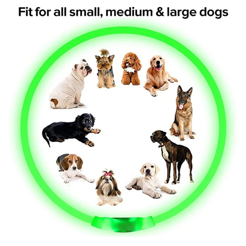 3 Modes Dog Luminous Charge Collar Led Usb