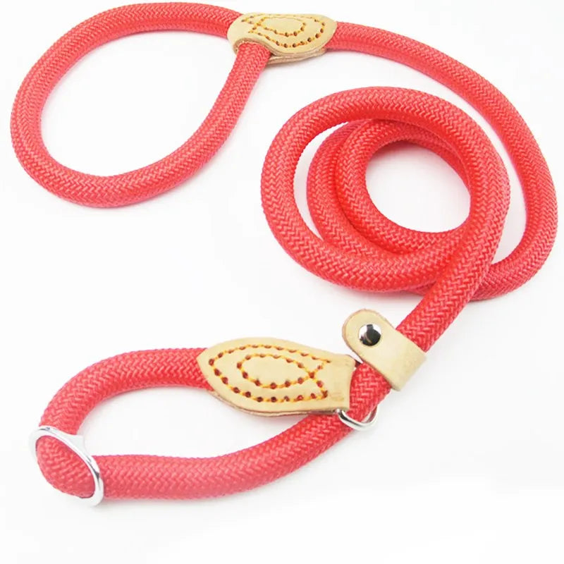 Dog Walking Leash Slip Rope