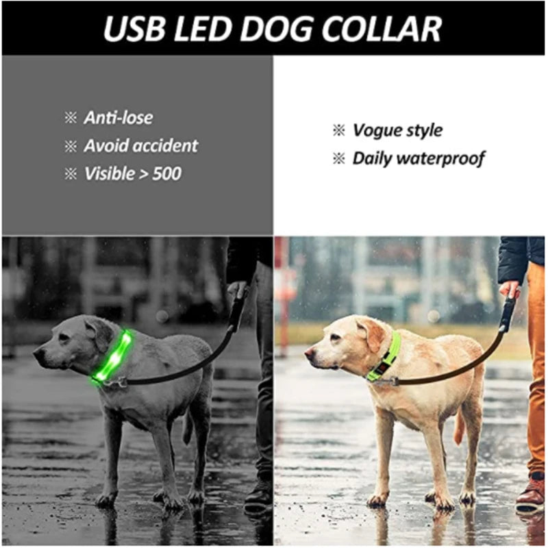 3 Modes Dog Luminous Charge Collar