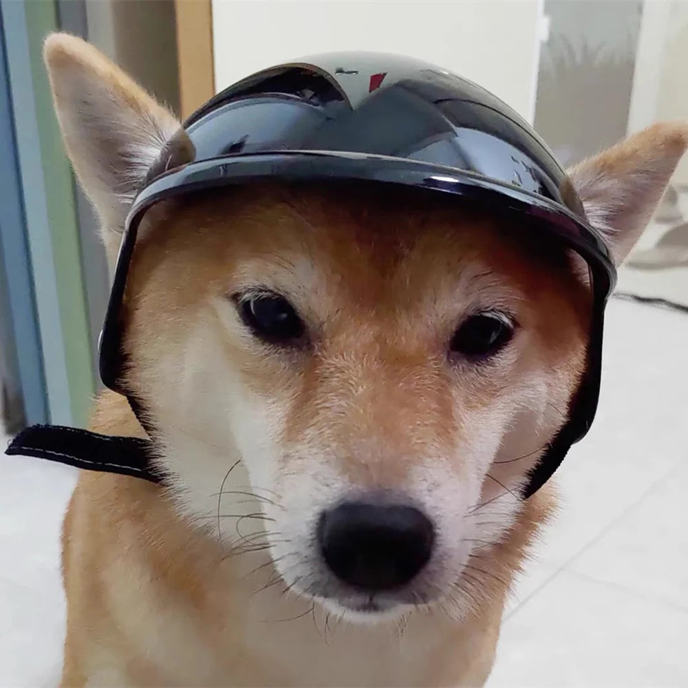 Cool Pet Dog Safety Helmet for Small Medium Dogs