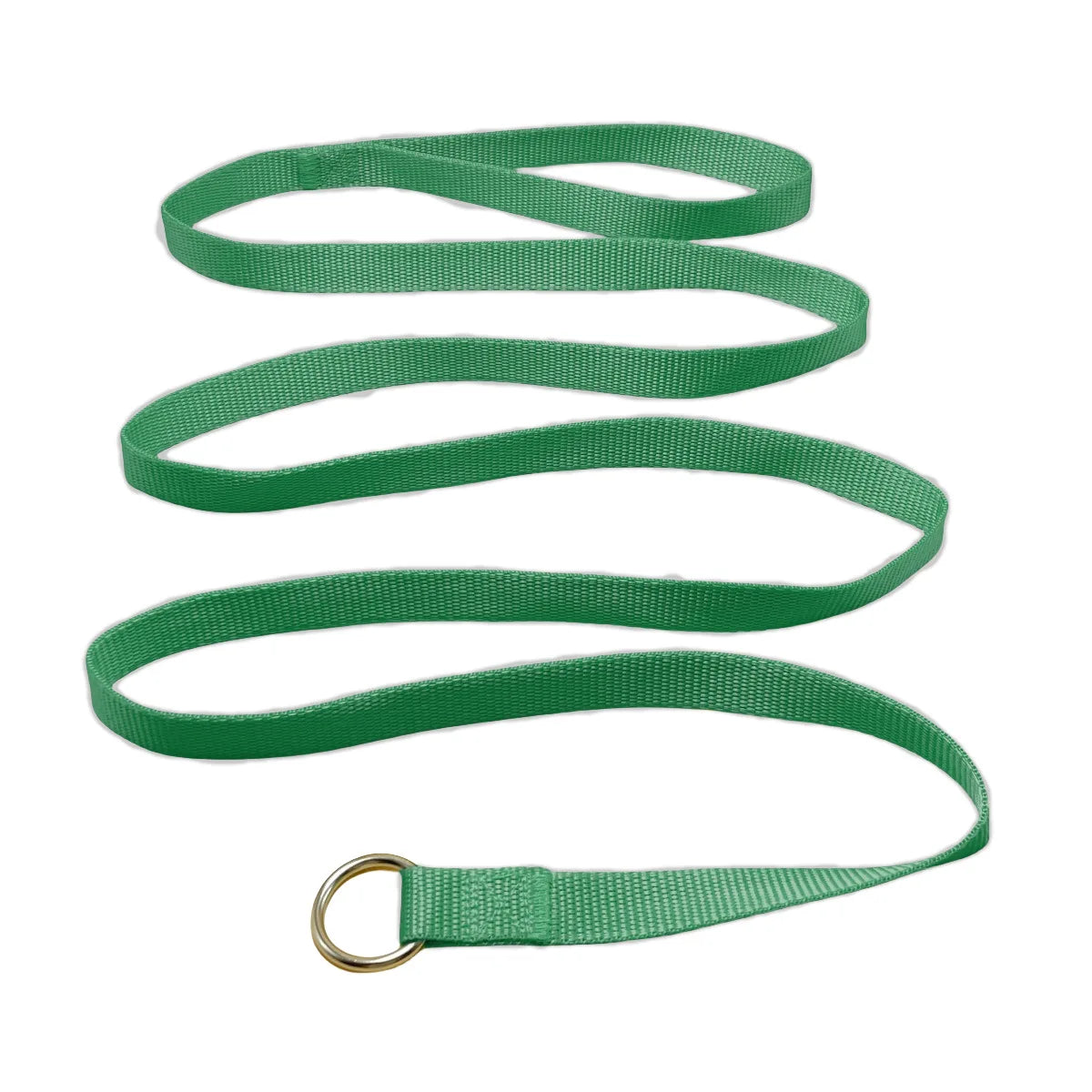 Durable Dog Nylon Slip Rope Leash,