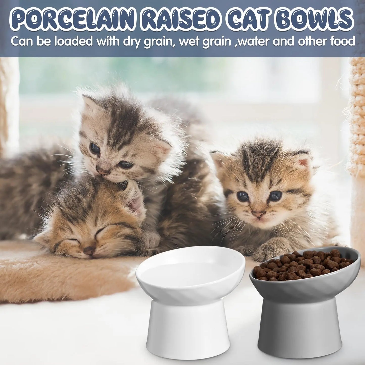 Ceramic Raised  Food Bowls