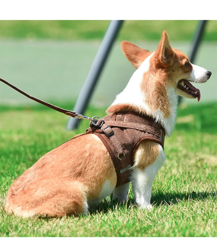 Dog Traction Rope Corduroy Breathable