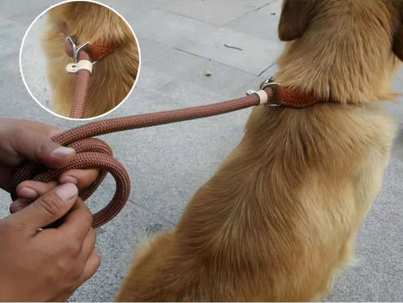 Dog Walking Leash Slip Rope