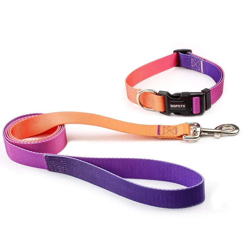 Nylon Adjustable Dog Collar