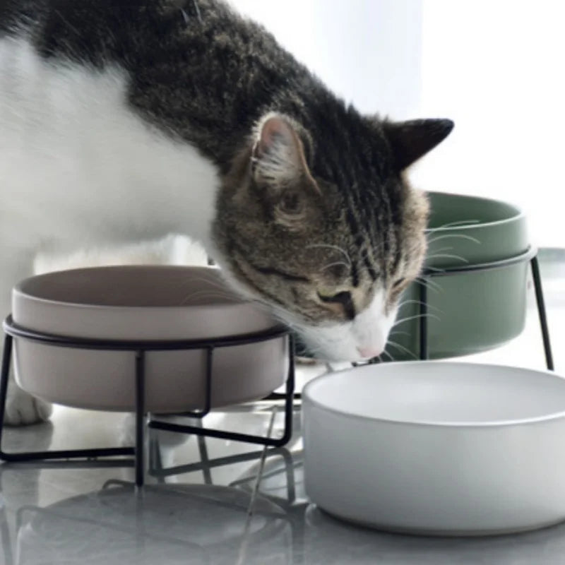 Food Water Bowls with Stand Ceramic Pet Feeding