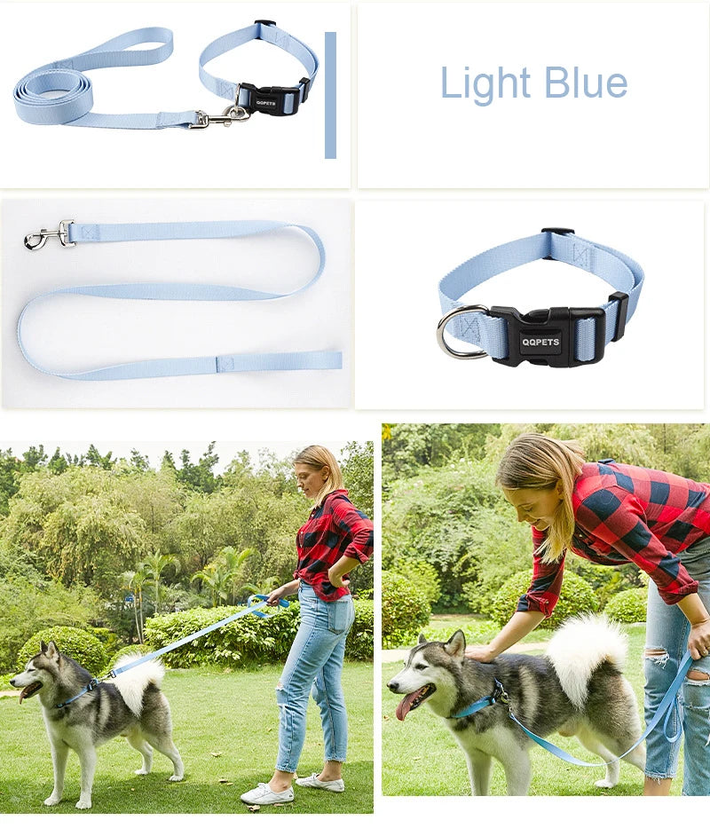 Nylon Adjustable Dog Collar