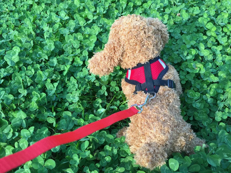 Reflective Breathable Mesh Dog Harness