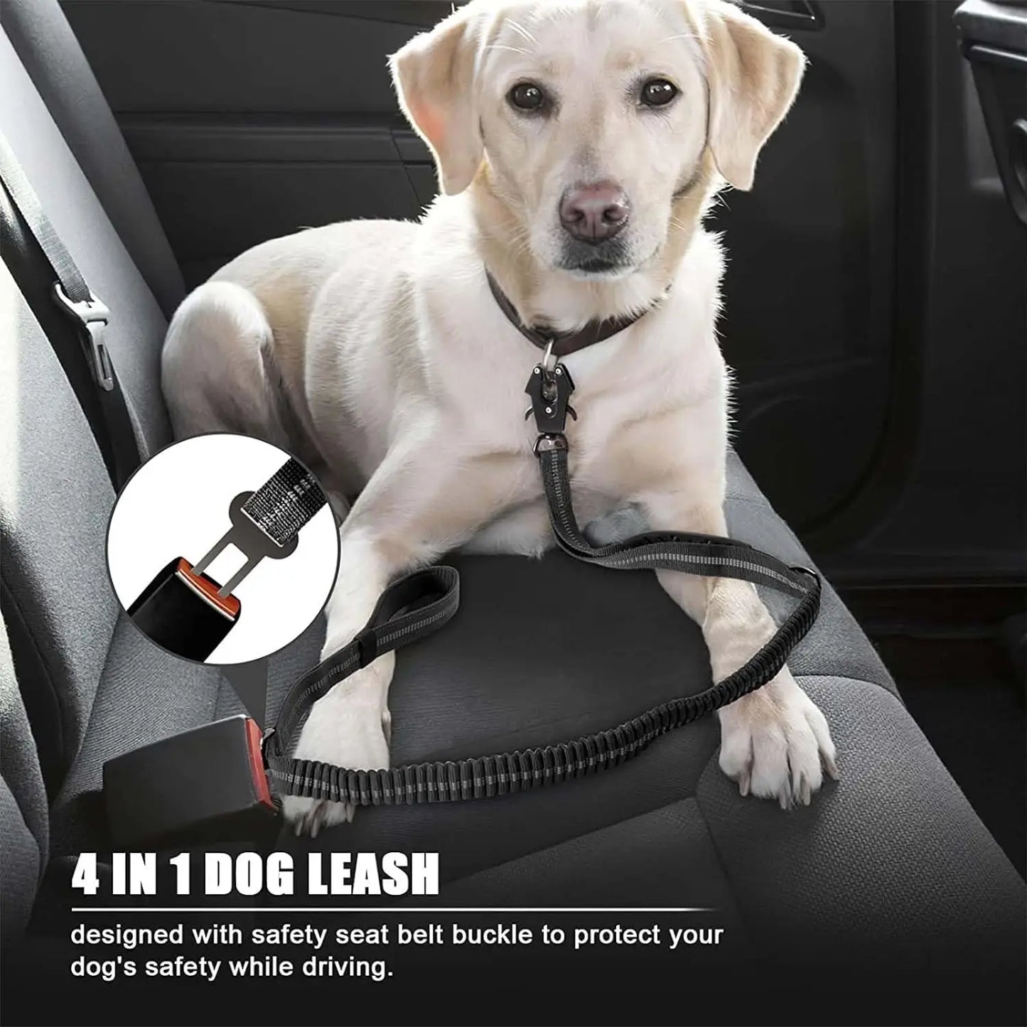 Reflective Shock Absorbing Pet Leashes with Car Seatbelt