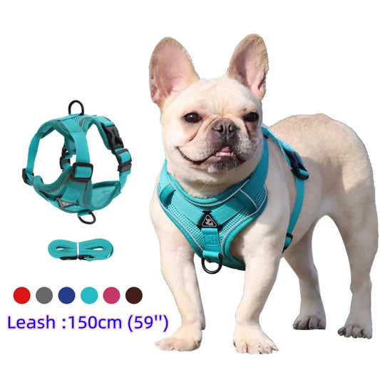 Harness and Leash Set Pet